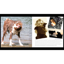 Load image into Gallery viewer, The Gift of Extra Time E-book